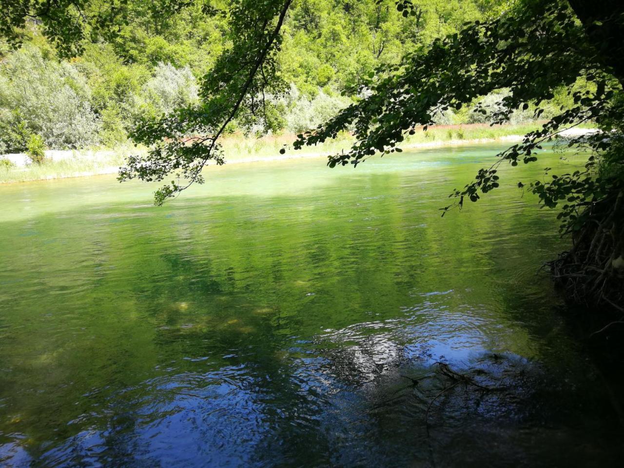 Exo Log Cottage Jezero Szoba fotó